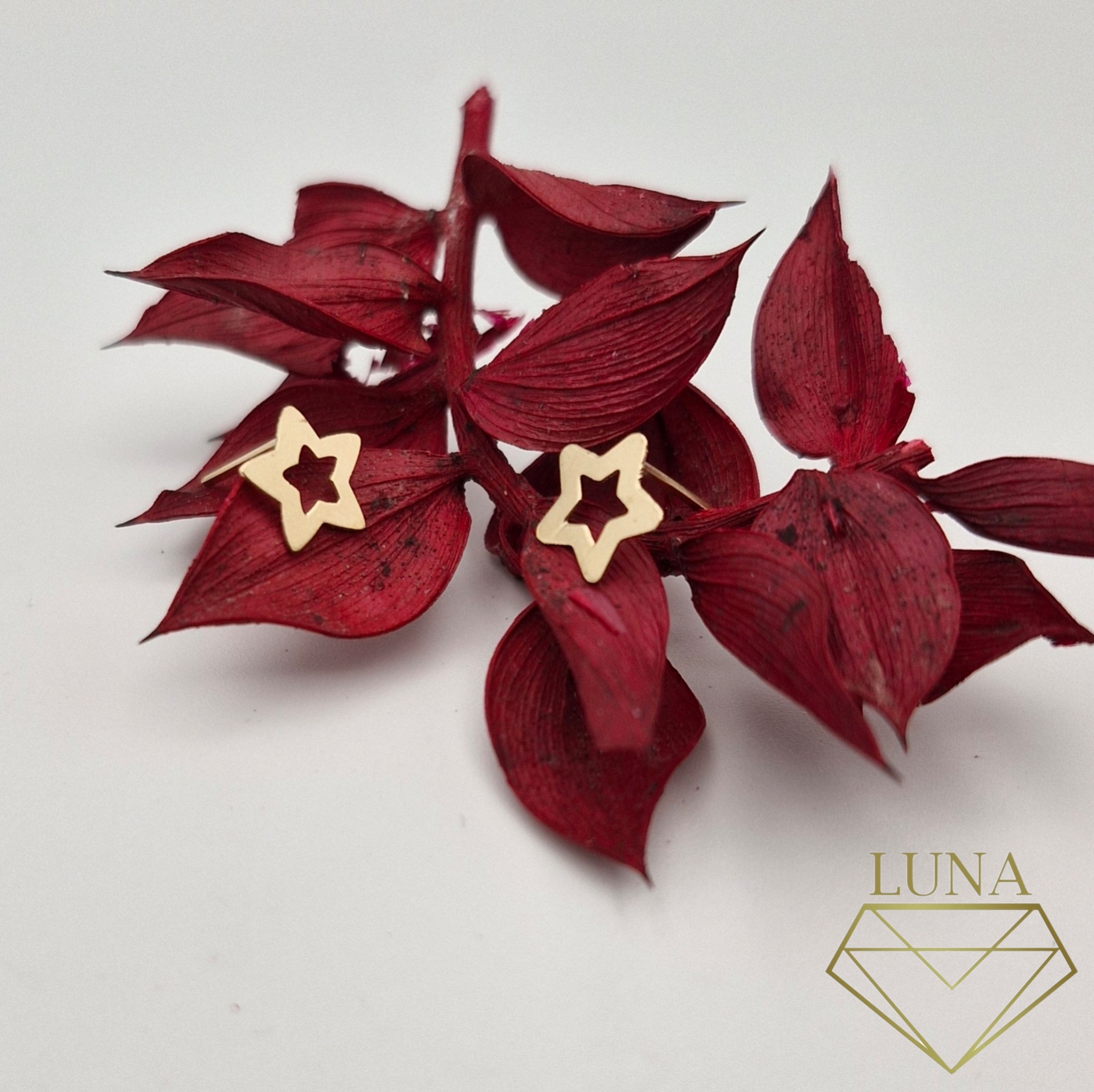 گوشواره میخی طرح ستاره